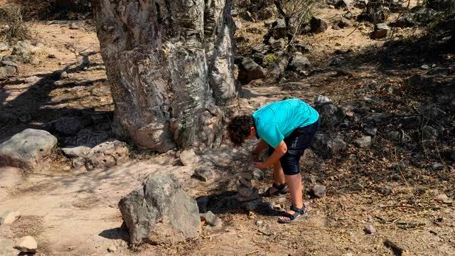#oman #baobab #travelling